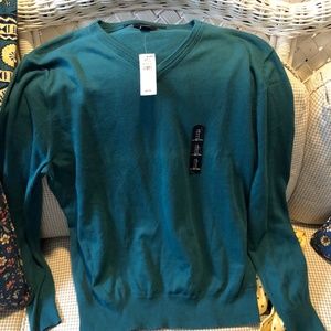 Gap Mens V-Neck Sweater